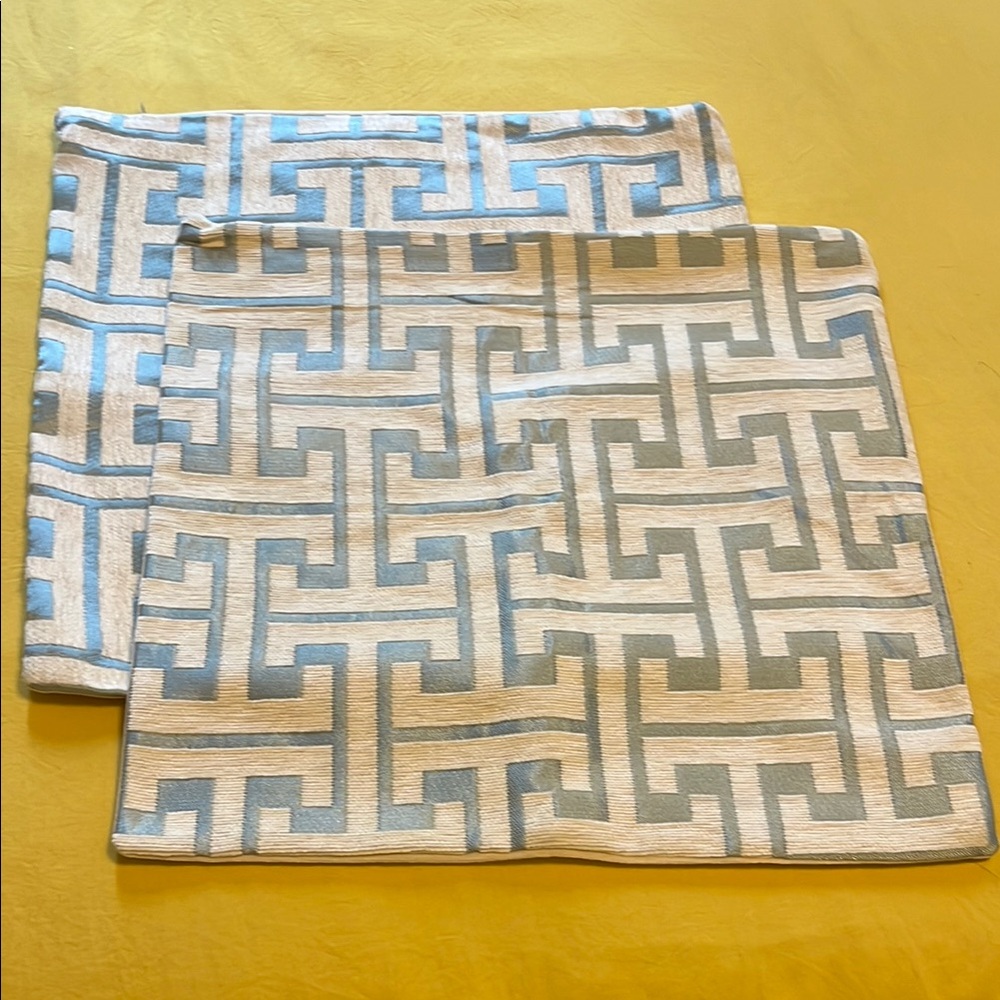 Two Pillow Covers
